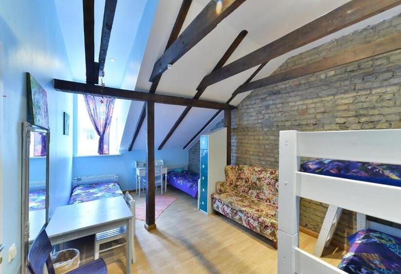 اتاق استاندارد چهارنفره با سرویس بهداشتی مشترک, Central Hostel