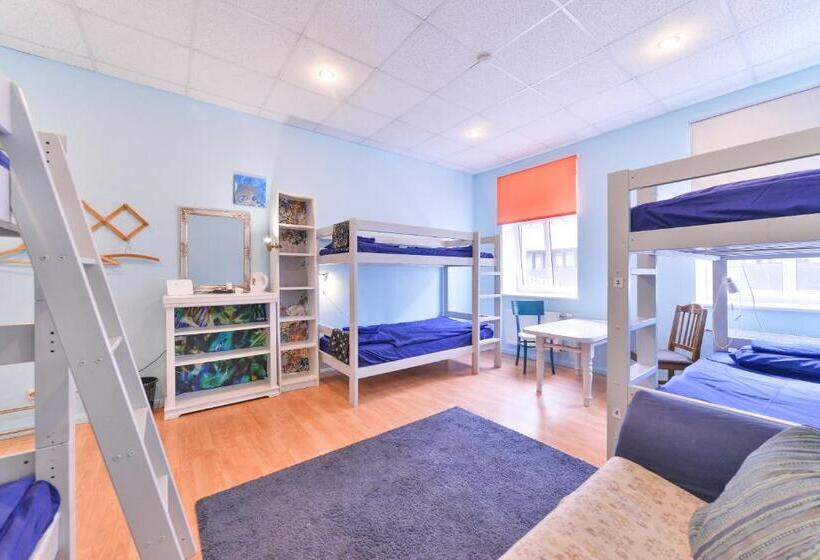 تختخواب در اتاق مشترک, Central Hostel