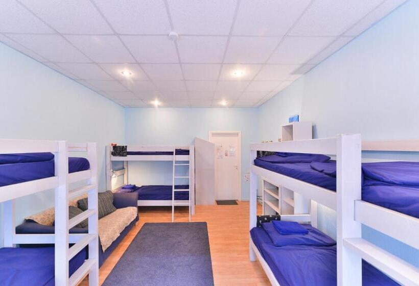 تختخواب در اتاق مشترک, Central Hostel