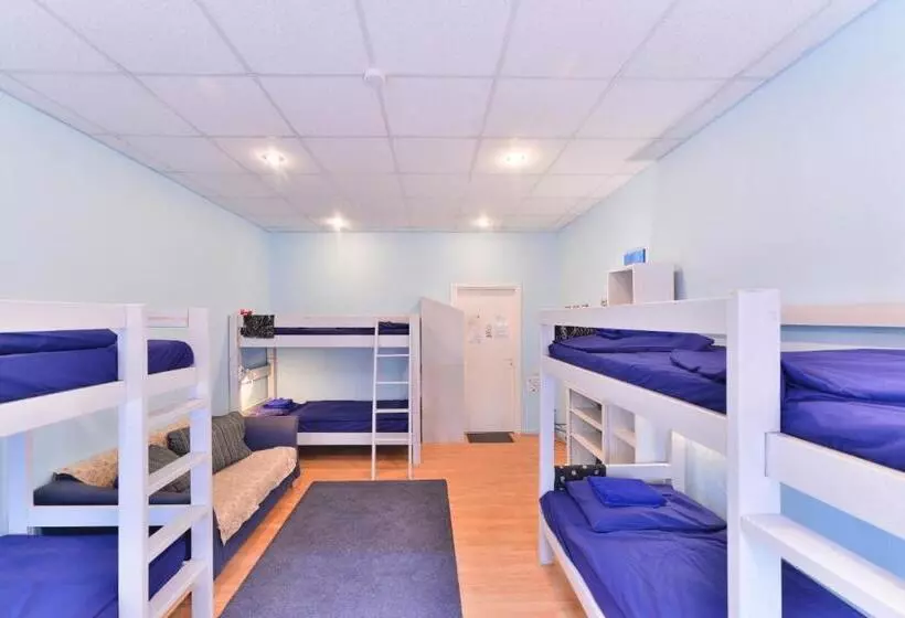 تختخواب در اتاق مشترک, Central Hostel