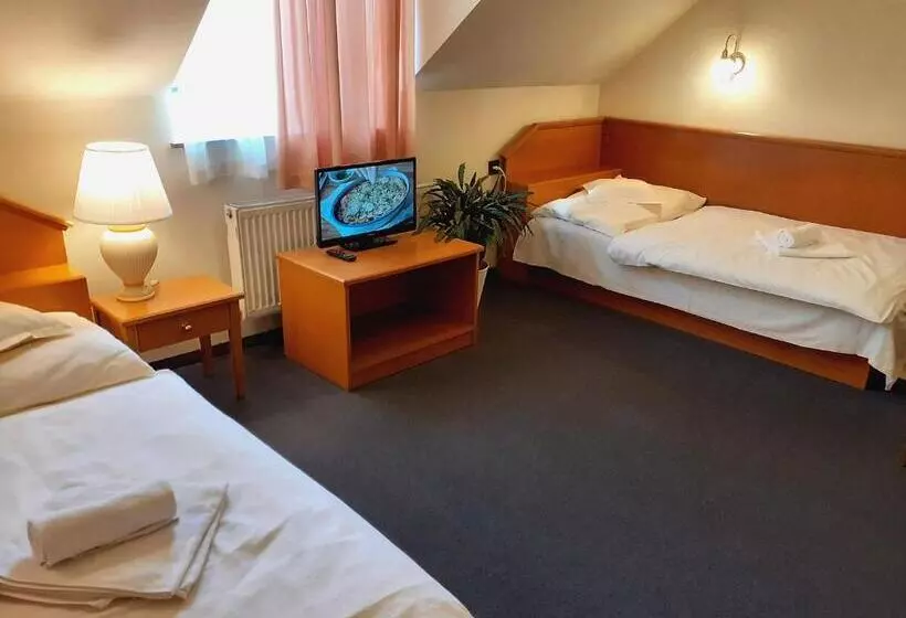 Standard Yhden Hengen Huone, Casanova
