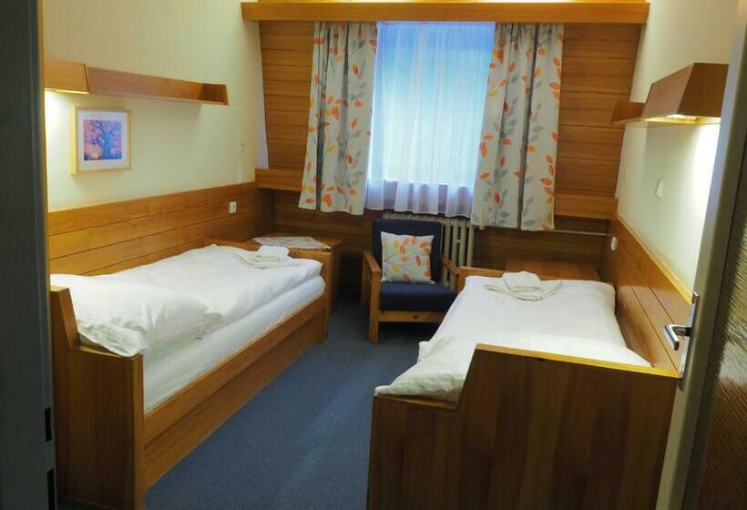 غرفة قياسية مطلة على الجبل, Cerna Bouda