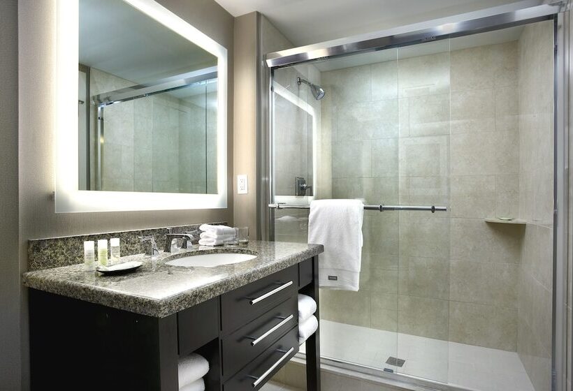 带2个双人床的标准工作室, Le Westin Montreal