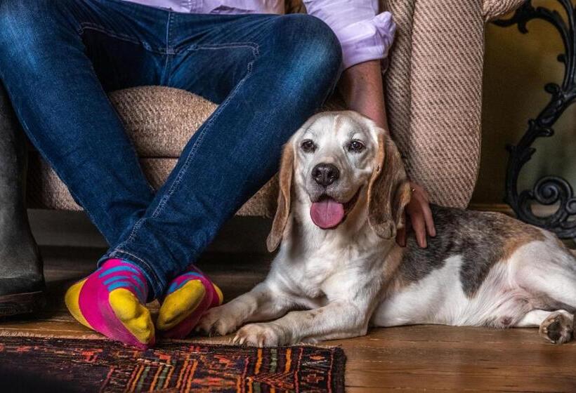 غرفة ديلوكس, The Black Lion, Long Melford