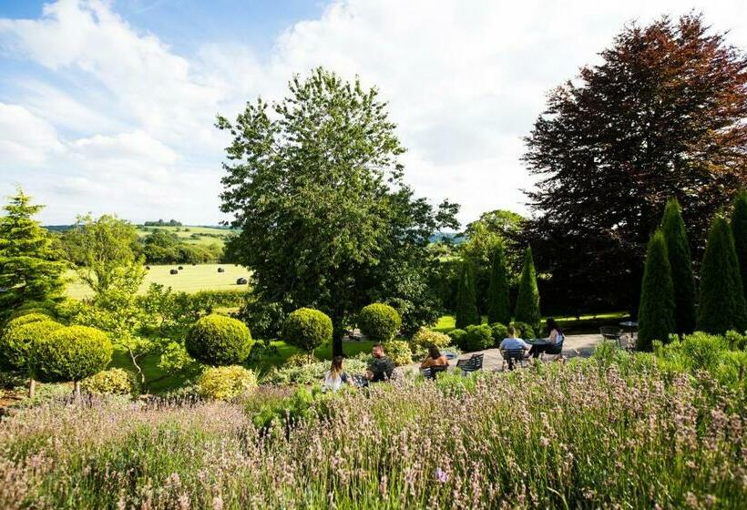 סוויטה אקזקיוטיב, The Plough Inn