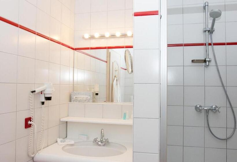 اتاق استاندارد یک نفره, Villa Rainer