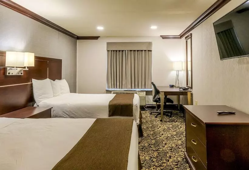 ２ダブルベッドのスタンダードルーム, Woodbine Hotel & Suites