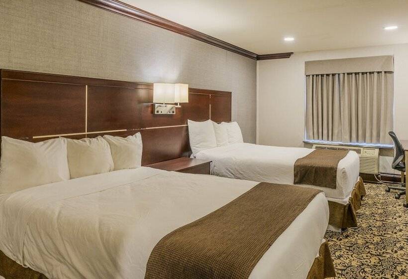 스탠다드 룸 더블 침대 2개, Woodbine Hotel & Suites