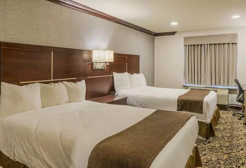 ２ダブルベッドのスタンダードルーム, Woodbine Hotel & Suites