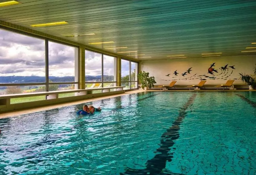 Standard Yhden Hengen Huone, Jufa Hotel Schwarzwald