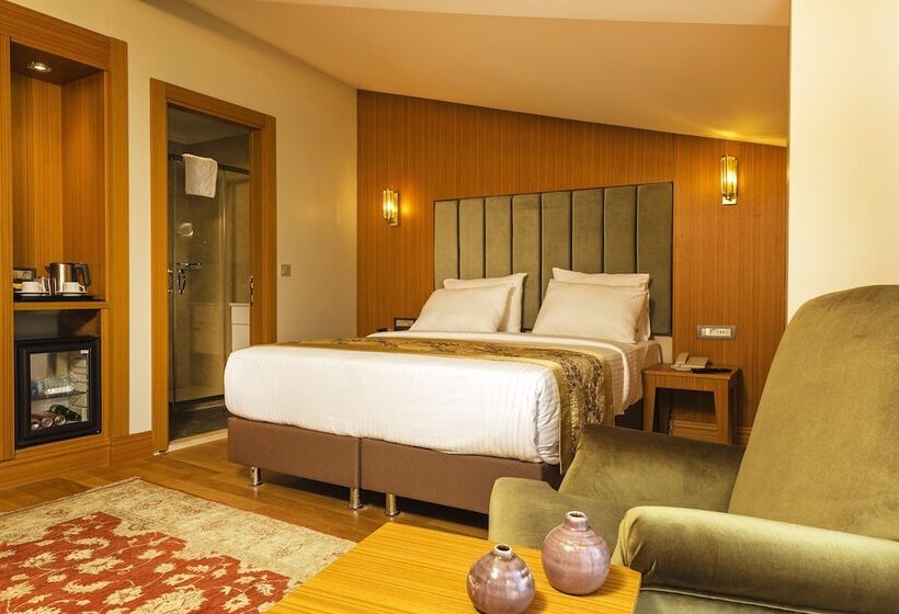 スタンダードルーム, Acra Hotel   Special Category