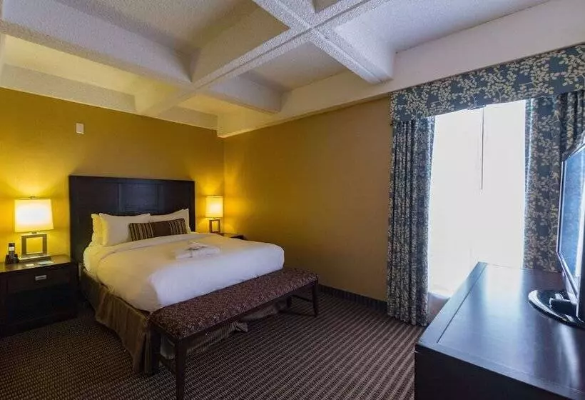 Sviitti, Wyndham Edmonton Hotel And Conference Centre