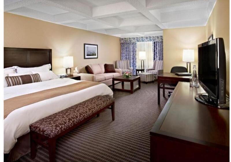 חדר סטנדרט עם מיטת קינג, Wyndham Edmonton Hotel And Conference Centre