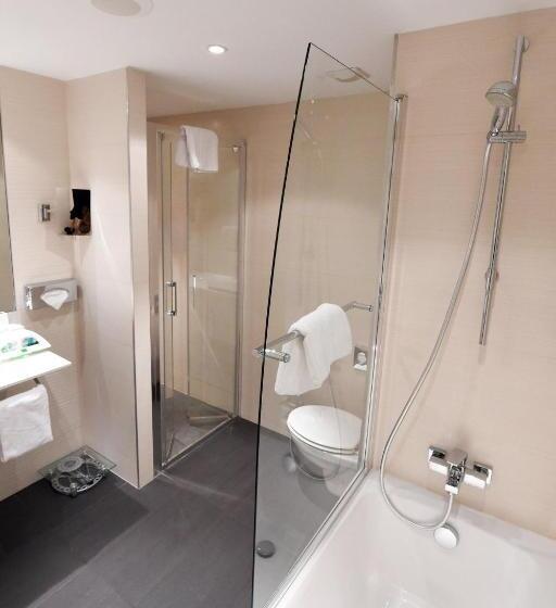 비즈니스룸, Holiday Inn Mulhouse, An Ihg