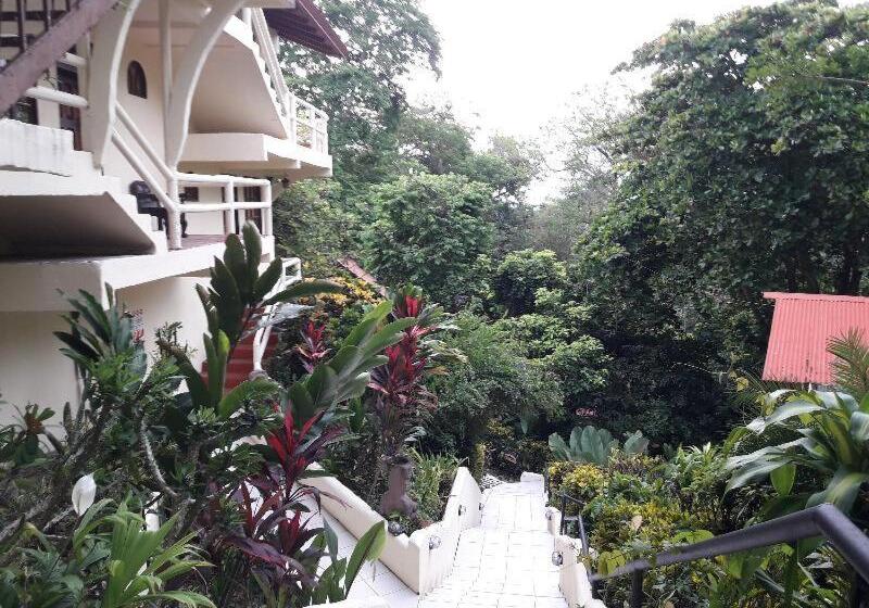 スタンダードルーム, La Colina