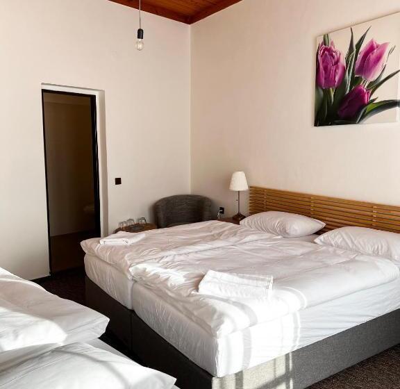 غرفة قياسية ثلاثية مزودة بشرفة, Pension Mona