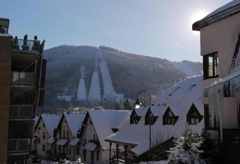 Номер Стандарт, Pension Mona