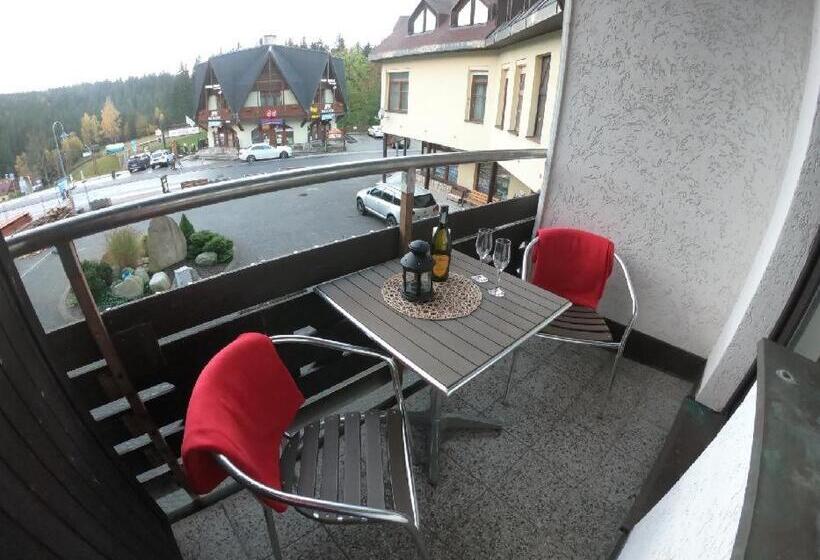 غرفة قياسية مزوَّدة بشُرفة, Pension Mona