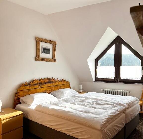 Люкс Дюплекс, Pension Mona