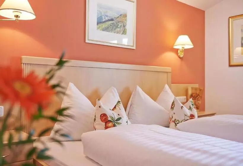 スタンダードルーム, Zirbenhotel Steiger