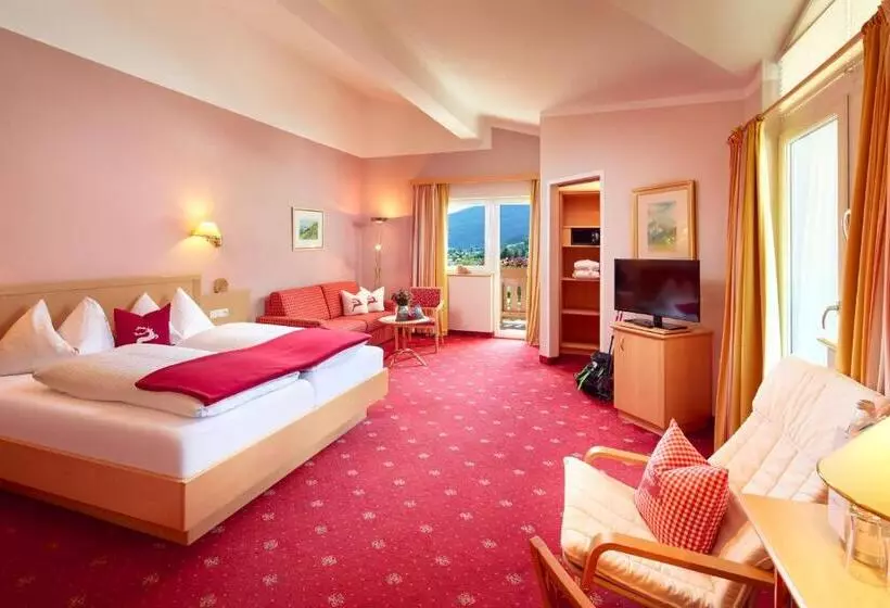 ビュー有りのスタンダードワンルーム, Zirbenhotel Steiger