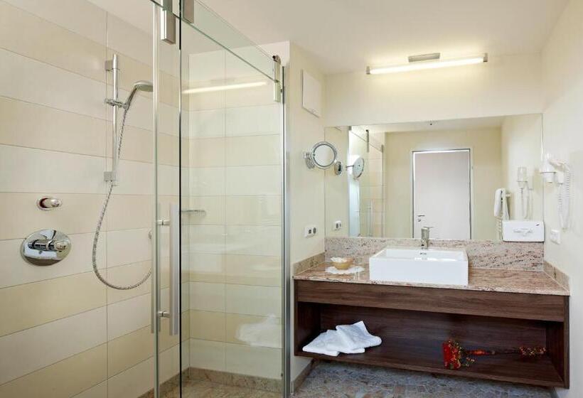 Номер Стандарт Вид на Горы, Zirbenhotel Steiger