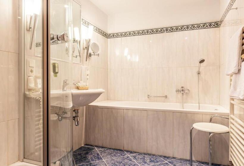 스탠다드 룸 호수 전망, Weisser Hirsch