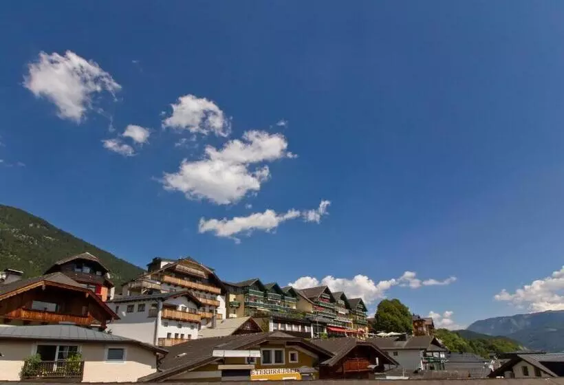 سوییت جونیور, Weisser Hirsch