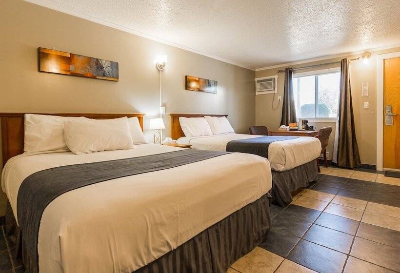 家庭间, Oasis Inn