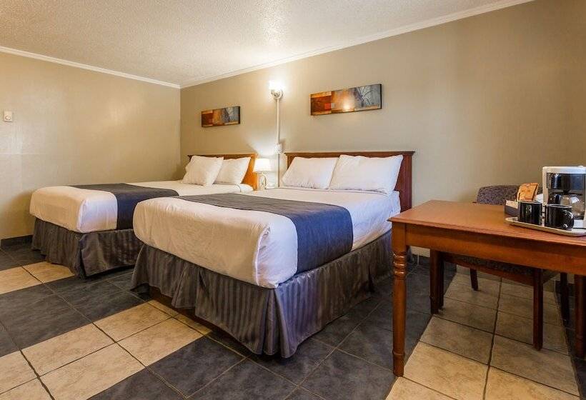 家庭间, Oasis Inn