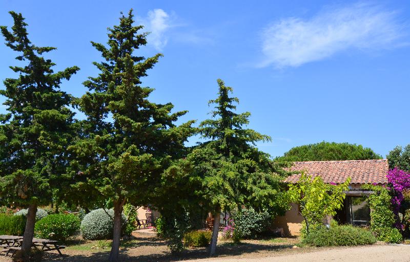 带花园景观和一个卧室的别墅, Residence Alba Rossa