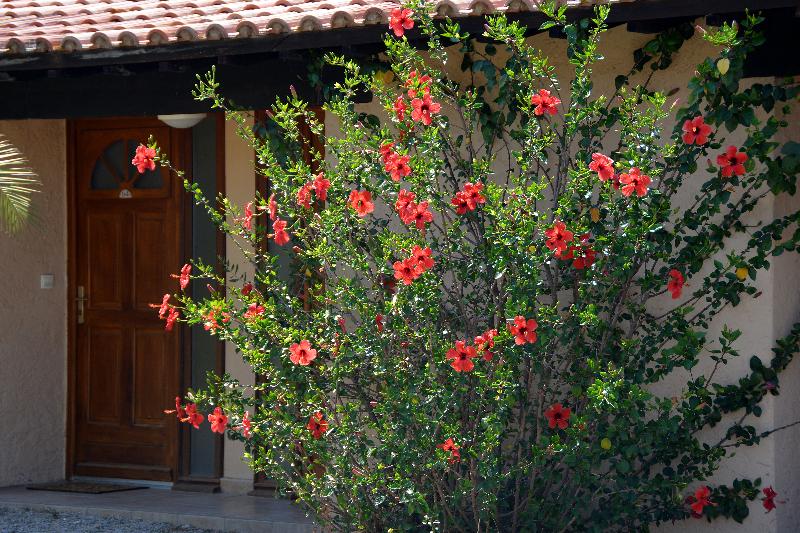 ویلای 1 خوابه با چشم‌انداز باغ, Residence Alba Rossa