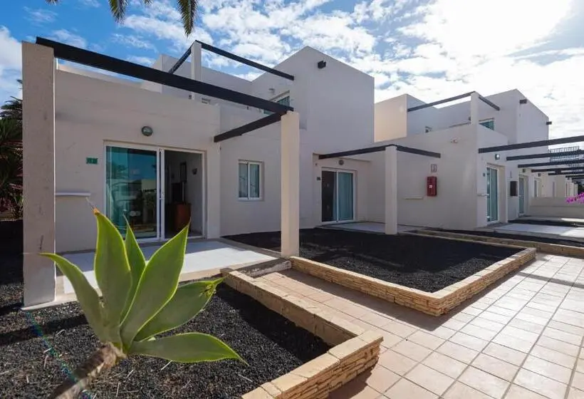 آپارتمان 1 خوابه, Homeforguest Apartamento 13 Con Terraza Y Piscina En Corralejo