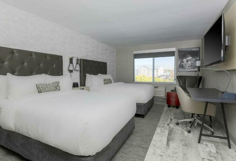 クラシックルーム, Four Points By Sheraton Amarillo Central