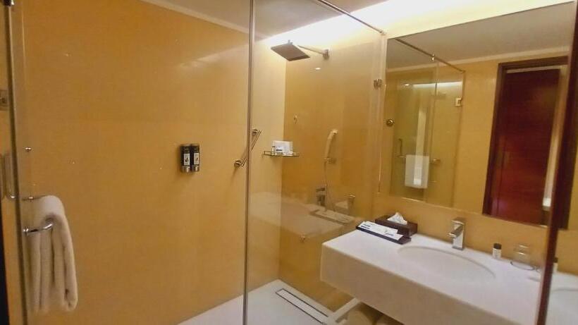 חדר דלוקס, Manjeera Sarovar Premiere