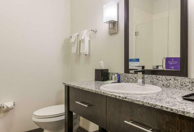 غرفة قياسية سرير كينج, Sleep Inn & Suites Webb City