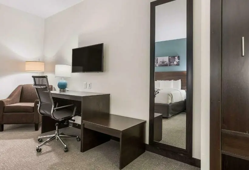 اتاق استاندارد با تخت بزرگ, Sleep Inn & Suites Webb City
