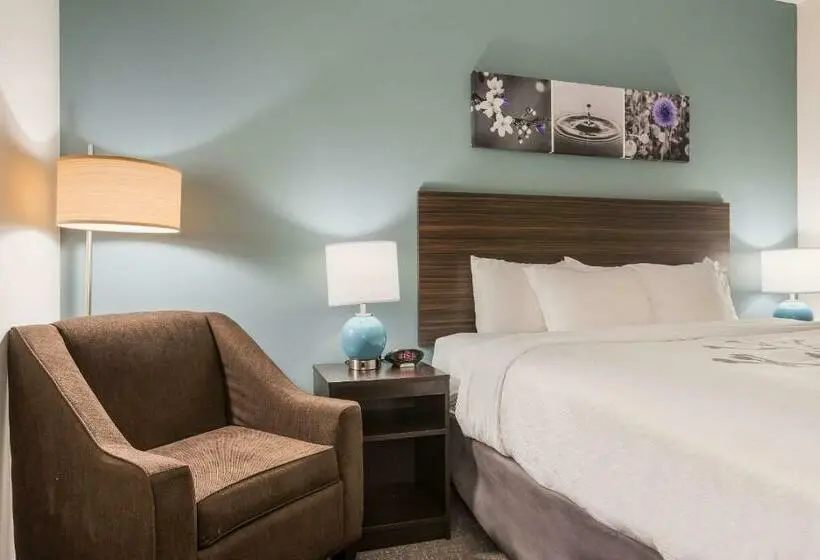 اتاق استاندارد با تخت بزرگ, Sleep Inn & Suites Webb City