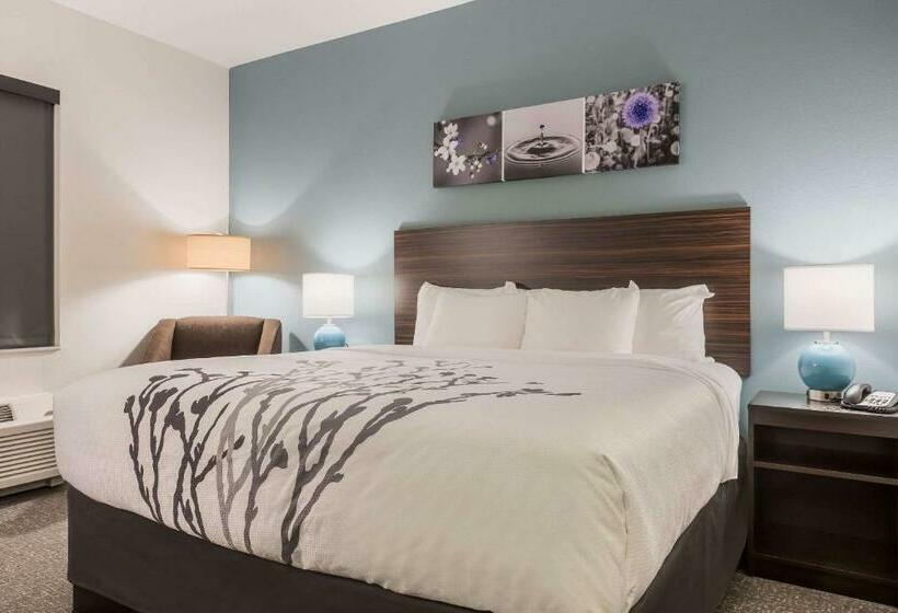 غرفة قياسية سرير كينج, Sleep Inn & Suites Webb City