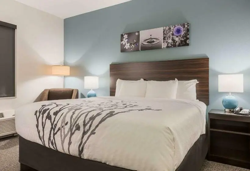 اتاق استاندارد با تخت بزرگ, Sleep Inn & Suites Webb City