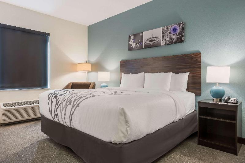غرفة قياسية سرير كينج, Sleep Inn & Suites Webb City