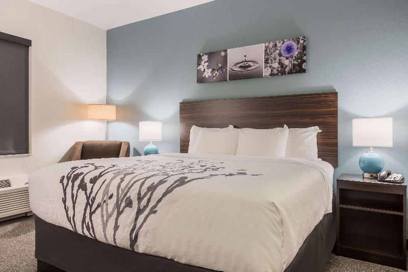غرفة قياسية سرير كينج, Sleep Inn & Suites Webb City