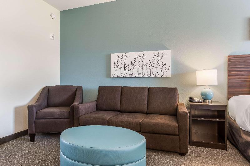 غرفة قياسية سرير كينج, Sleep Inn & Suites Webb City