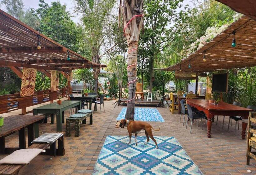 اتاق لوکس, Karoozin Village