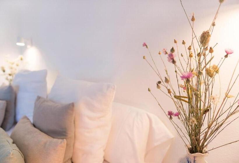 豪华工作室, Casa Boutique Encalada