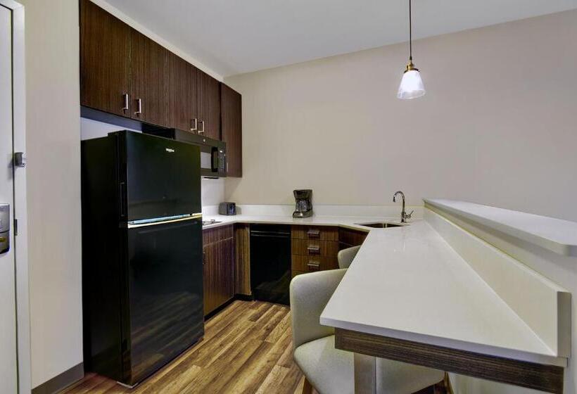 إستوديو قياسى سرير كينج, Residence Inn By Marriott Reading