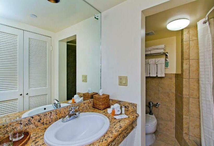 キングサイズベッドのエクゼクティブルーム, The Equus