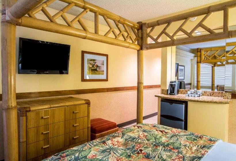 スタンダードルーム, The Equus