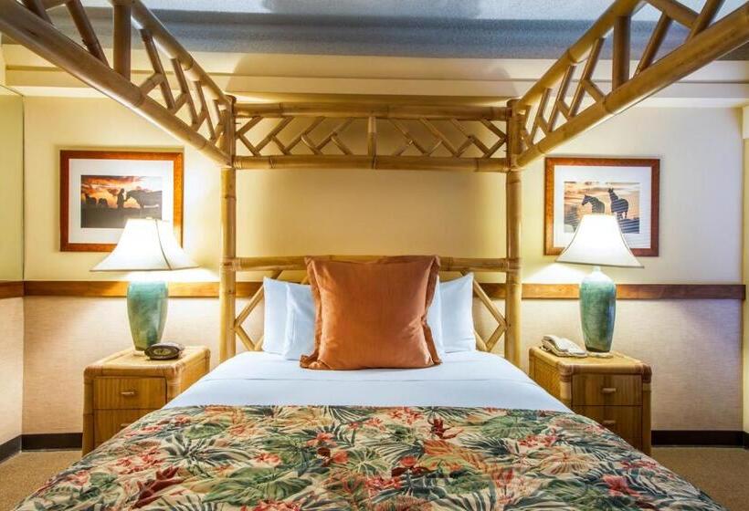 スタンダードルーム, The Equus