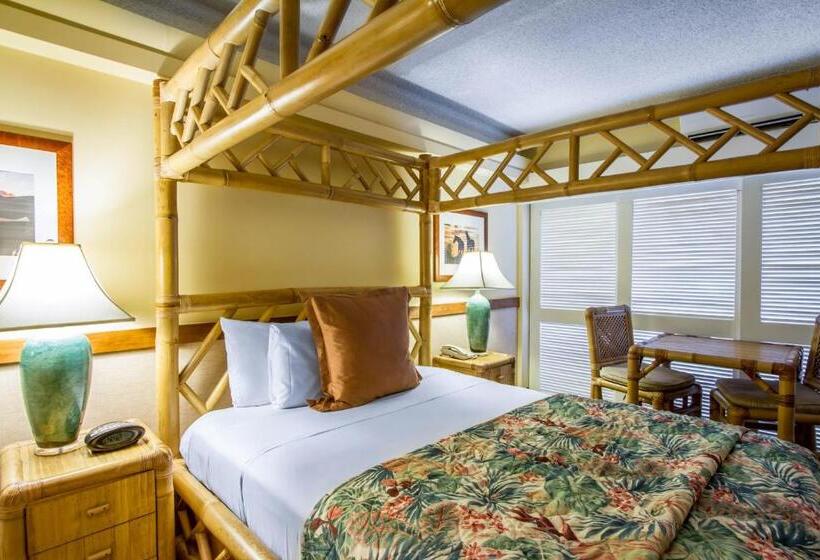 スタンダードルーム, The Equus